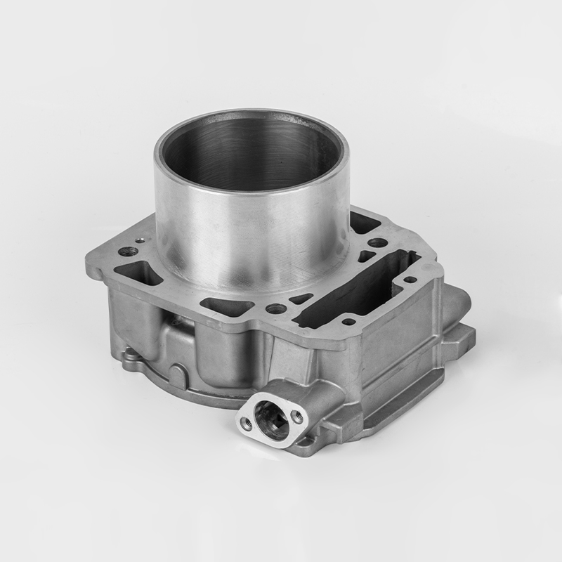 Liangzi 1000 (Φ91) Bombardier 1000 motorcilinder duurzame serie