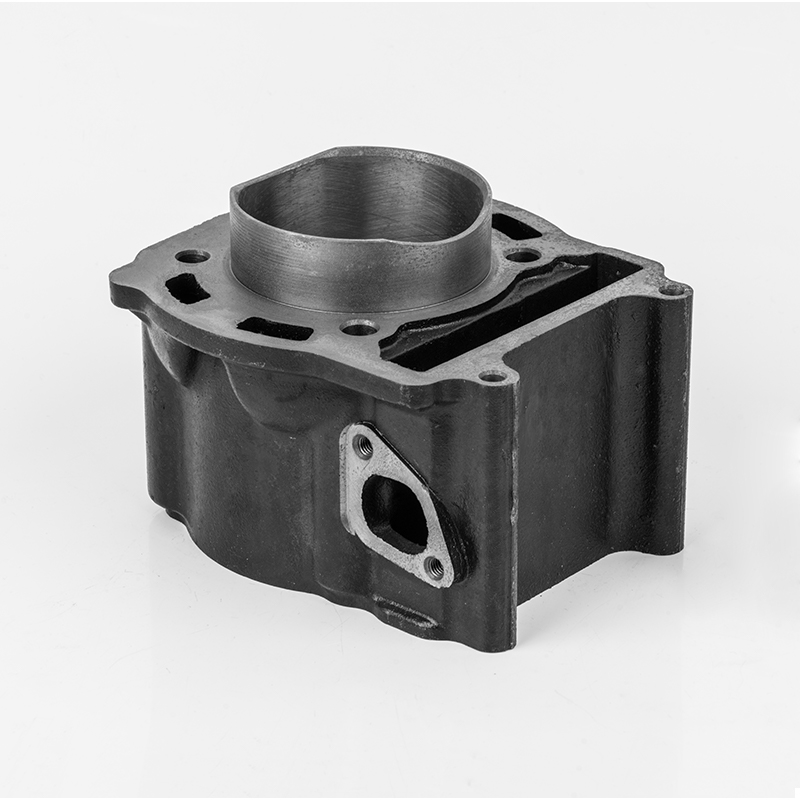 2V73 (Φ72.5) gietijzeren slijtvaste cilinderserie