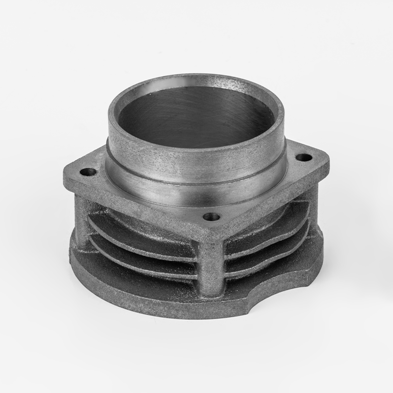 BW125 (Φ65) zeer sterke, duurzame cilinder voor luchtcompressor voor motorfietsaccessoires